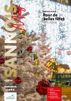 Pour de belles f&ecirc;tes de fin d'ann&eacute;e - Ville de Sannois