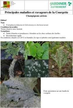 Principales maladies et ravageurs de la Courgette - Jardiner Autrement