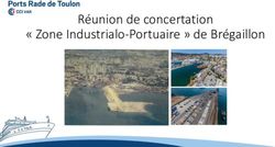 Réunion de concertation " Zone Industrialo-Portuaire " de Brégaillon - cil la rode-toulon