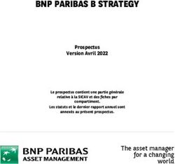 BNP PARIBAS B STRATEGY - Prospectus Version Avril 2022 Le Prospectus ...