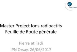 Master Project Ions radioactifs Feuille de Route générale - Pierre et Fadi IPN Orsay, 26/06/2017 - IN2P3