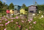 Terra Botanica : le parc du végétal et de la biodiversité plonge le visiteur dans " La canopée des Oiseaux ", la grande nouveauté 2023