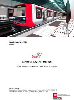 LE PROJET " AVENIR M&Eacute;TRO " - Sytral