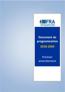 Document de programmation 2018-2020 - Premier amendement