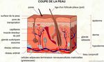Soins aux Personnes Ag&eacute;es G&eacute;riatrie - Institut Provincial du Nursing du Centre 13 B, rue Milcamps - 7100 LA LOUVIERE - section-ih.be