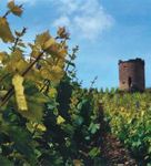 ROUTE TOURISTIQUE - www.aube-champagne.com l'esprit DES vignerons de l'Aube en Champagne de la vigne a la cave