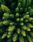 D&Eacute;VELOPPEMENT DURABLE RAPPORT - 2017 POUR UN MONDE PLUS PROPRE, PLUS S&Ucirc;R ET PLUS SAIN - Tennant Company