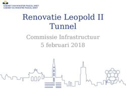 Renovatie Leopold II Tunnel - Commissie Infrastructuur 5 februari 2018