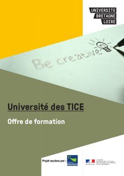 Université des TICE Offre de formation - Projet soutenu par : l'Université Bretagne Loire