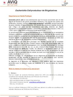 Escherichia Coli producteur de Shigatoxines