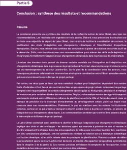 Conclusion : synth&egrave;se des r&eacute;sultats et recommandations