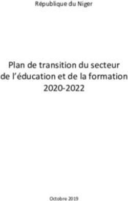 Plan de transition du secteur de l'&eacute;ducation et de la formation 2020-2022 - R&eacute;publique du Niger