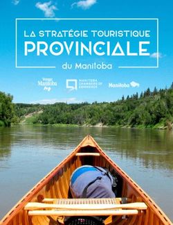 PROVINCIALE LA STRAT&Eacute;GIE TOURISTIQUE - du Manitoba
