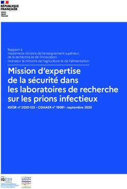 Mission d'expertise de la s&eacute;curit&eacute; dans les laboratoires de recherche sur les prions infectieux
