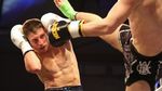 Les Jurassiens au rendez-vous - Boxe tha&iuml; - Le Progr&egrave;s