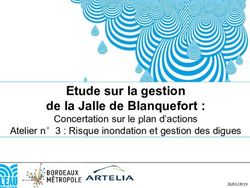 Etude sur la gestion de la Jalle de Blanquefort : Concertation sur le plan d'actions Atelier n 3 : Risque inondation et gestion des digues ...
