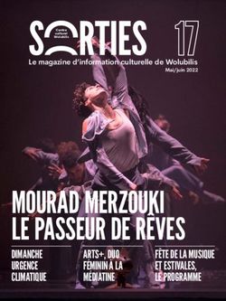S*ORTIES 17 - MOURAD MERZOUKI LE PASSEUR DE R&Ecirc;VES DIMANCHE URGENCE CLIMATIQUE - Wolubilis