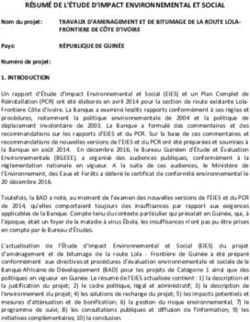R&Eacute;SUM&Eacute; DE L'&Eacute;TUDE D'IMPACT ENVIRONNEMENTAL ET SOCIAL