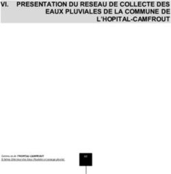 VI. PRESENTATION DU RESEAU DE COLLECTE DES EAUX PLUVIALES DE LA COMMUNE DE L'HOPITAL-CAMFROUT