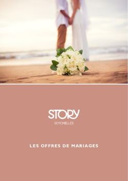 LES OFFRES DE MARIAGES - Story Seychelles