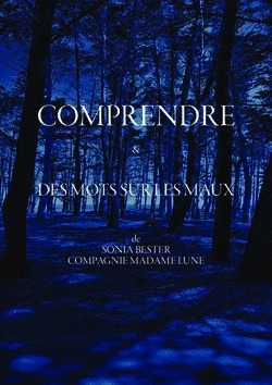 Comprendre des mots sur les maux - de sonia bester Compagnie madame lune - Madamelune