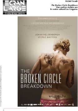 The Broken Circle Breakdown Une analyse r&eacute;alis&eacute;e par le centre culturel Les Grignoux - Michel Cond&eacute;