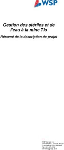 Gestion des stériles et de l'eau à la mine Tio - Résumé de la description de projet