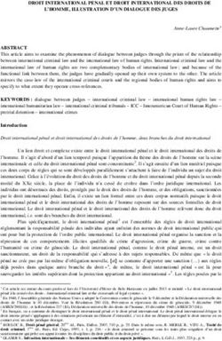 DROIT INTERNATIONAL PENAL ET DROIT INTERNATIONAL DES DROITS DE