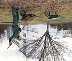 R&eacute;f&eacute;rentiel de dipl&ocirc;me - Certificat d'Aptitude Professionnelle agricole "Jardinier paysagiste"