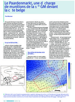 Le Paardenmarkt, une d&eacute;charge de munitions de la 1&egrave;re GM devant la c&ocirc;te belge