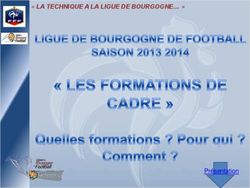 " LA TECHNIQUE A LA LIGUE DE BOURGOGNE " - Présentation