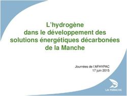 L'hydrog&egrave;ne dans le d&eacute;veloppement des solutions &eacute;nerg&eacute;tiques d&eacute;carbon&eacute;es de la Manche - Journ&eacute;es de l'AFHYPAC 17 juin 2015