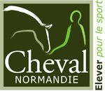 Note techNique champioNNat des Foals 2016 - Stud-Book ...