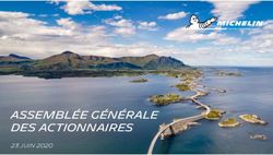 ASSEMBL&Eacute;E G&Eacute;N&Eacute;RALE DES ACTIONNAIRES - 23 juin 2020 - Michelin