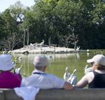 DES ÉMOTIONS PAR NATURE - GROUPES 2021 I Prestations & tarifs - Parc des Oiseaux