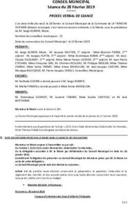 CONSEIL MUNICIPAL Séance du 28 Février 2019 - Mairie de ...