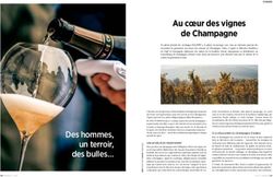 Au coeur des vignes de Champagne - Craft et Compagnie
