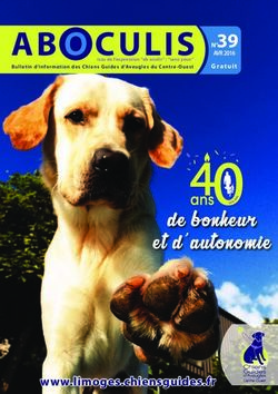 AB CULIS - de bonheur et d'autonomie - N 39 - Chiens Guides d'Aveugles