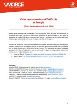 Crise du coronavirus (COVID-19) et Energie - Point de situation au 2 avril 2020 - Amorce