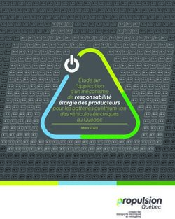 Élargie des producteurs - des véhicules électriques de responsabilité