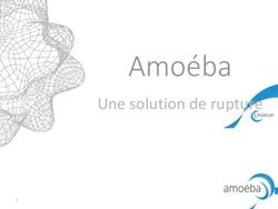 Amoéba Une solution de rupture - Amoeba