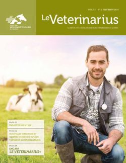 LEVETERINARIUS - ORDRE DES MÉDECINS VÉTÉRINAIRES DU QUÉBEC