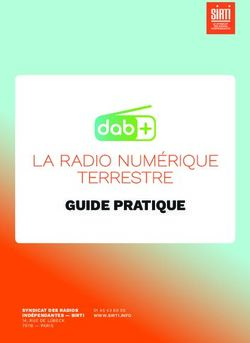 LA RADIO NUMÉRIQUE TERRESTRE - GUIDE PRATIQUE SYNDICAT DES RADIOS INDÉPENDANTES - SIRTI 14, RUE DE LÜBECK 75116 - PARIS - La Lettre Pro