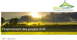 FINANCEMENT DES PROJETS ENR - SER - MAY 2016 - GREEN GIRAFFE