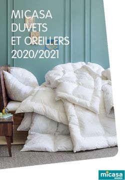 MICASA DUVETS ET OREILLERS 2020/2021