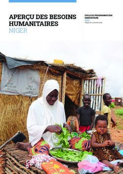 APER&Ccedil;U DES BESOINS HUMANITAIRES NIGER - CYCLE DE PROGRAMMATION HUMANITAIRE 2023