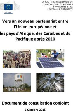 Vers un nouveau partenariat entre l'Union européenne et les pays d'Afrique, des Caraïbes et du Pacifique après 2020 - Document de consultation ...