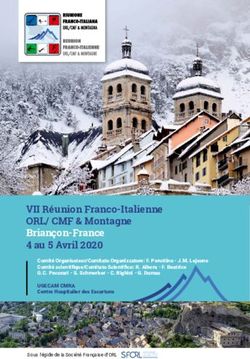 VII R&eacute;union Franco-Italienne ORL/ CMF & Montagne Brian&ccedil;on-France 4 au 5 Avril 2020 - snorl