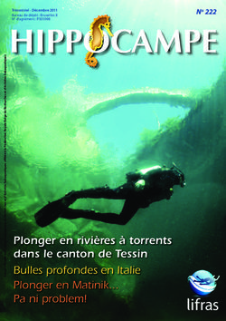 Plonger en rivières à torrents dans le canton de Tessin Bulles profondes en Italie Plonger en Matinik... Pa ni problem!