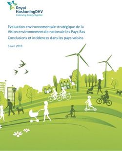 Évaluation environnementale stratégique de la Vision environnementale nationale les Pays-Bas Conclusions et incidences dans les pays voisins ...